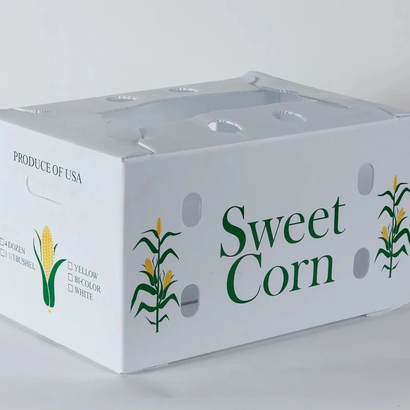 Customized Coroplast Corrugated Plastic Box